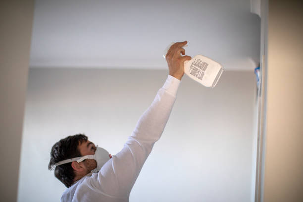 Best Emergency Mold Remediation in Yazoo City, MS