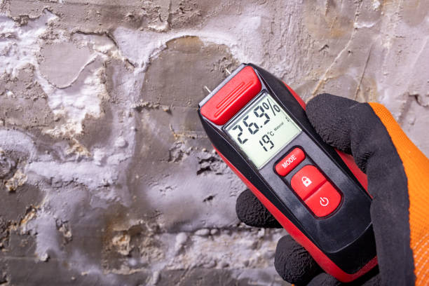 Best Mold Remediation for Specific Building Types in Yazoo City, MS
