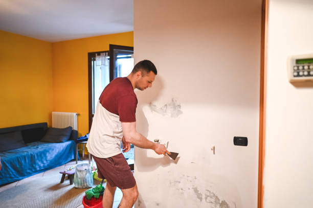 Best Residential Mold Remediation in Yazoo City, MS