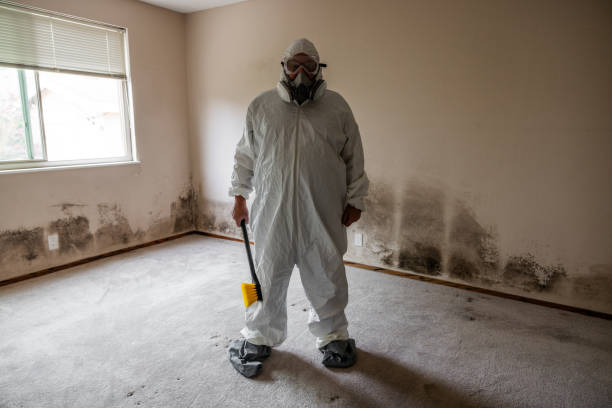 Yazoo City, MS Mold Remediation Company